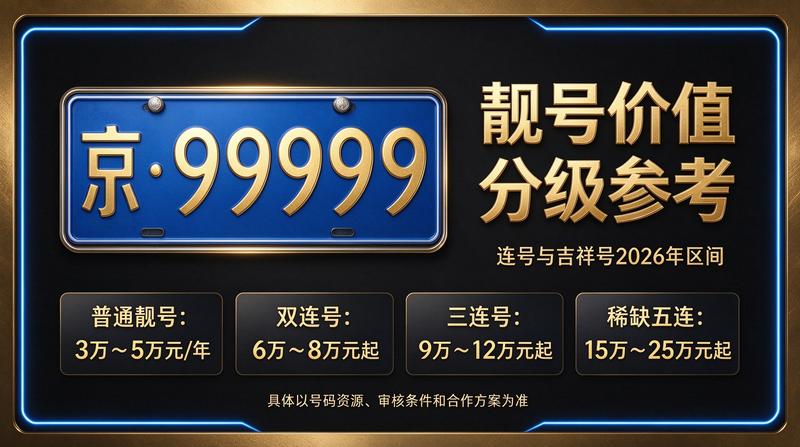 专业闲置北京指标京牌大的出租公司服务展示